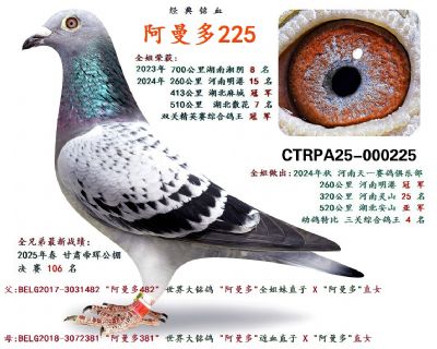 ������  225