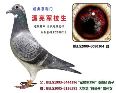 ��ĸ Ҳ�� ����ĸ