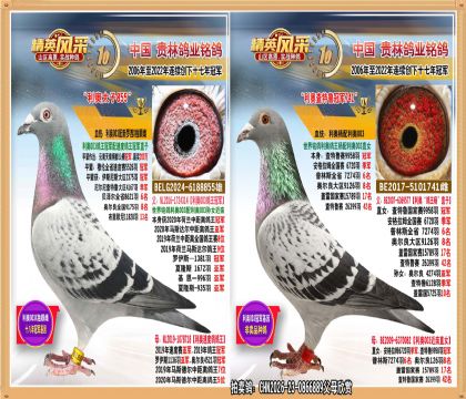 ����003��������003��Ů����.9958��ھ�ֱ��