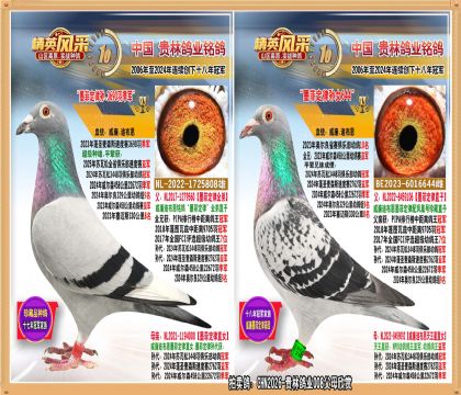 ī�ƶ�������ī�ƶ�����Ů����.3690�𼾾�ֱŮ