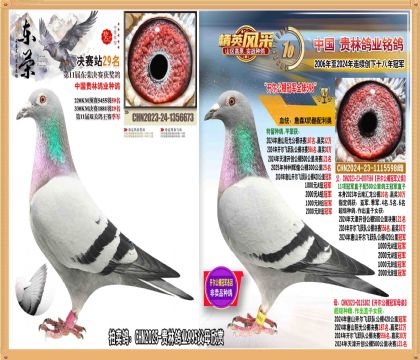 ���϶��ٹ�����������俪������ھ�ȫ�����ֱŮ