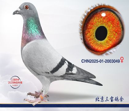 7.�ɸ��Ѫ.2003049