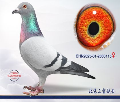 8.����240x����719.2003115