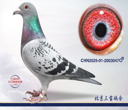 14.����396��Ѫ.2003047q