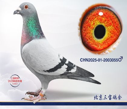 1.�ɸ��Ѫ.2003055