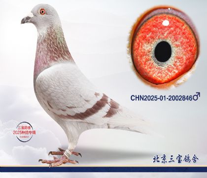 4.�ٰ���x�ɸ�Ѫϵ.2002846c