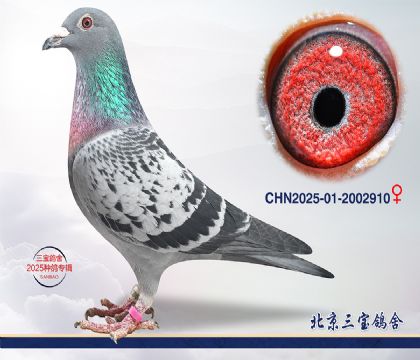 6.�ٰ�����Ѫ.2002910