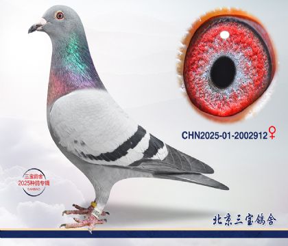 8.���ֿ�˹x����x����2002912c