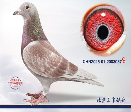 14.����֮�������Ǿ����.2003087q