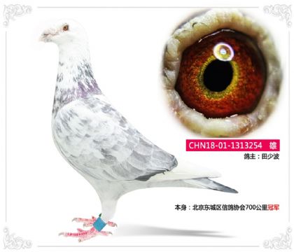 �����������Ÿ�Э��700����ھ�  ��	