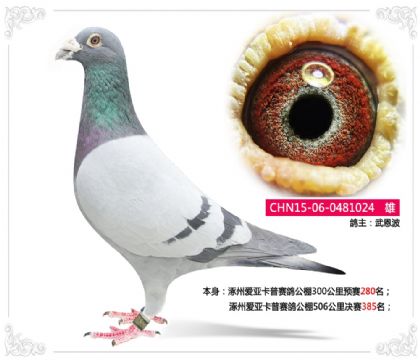 ���ݰ��ǿ������빫��506�������385��   ��	