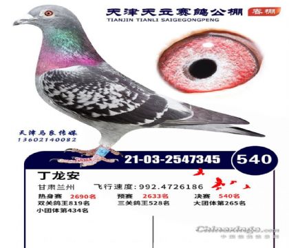 ����������빫����512�������540��  ��