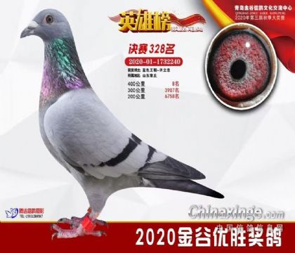 ɽ���ൺ������빫��500�������328��   ��	