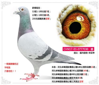 �ӱ�׿��������빫�����ظ����Ǿ�   ��	