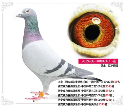 ��������������ֲ�-�й�������ۺ�1143��  ��