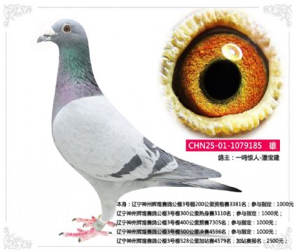 �������ݻԻ����빫��3����528�����վ��4579��  ��