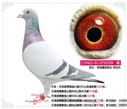 ���Դ�����빫���վ����һ��550����170��  ��