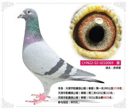 ��׿��--�������빫�����ڶ���420����163��