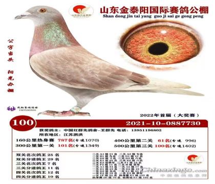 ɽ�����ʡ���̩���������빫������Ĺظ���10��