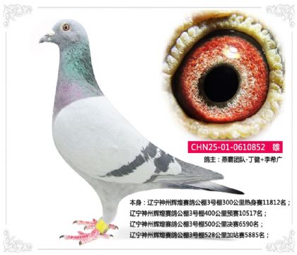 �������ݻԻ����빫��3����528�����վ��5885��   ��