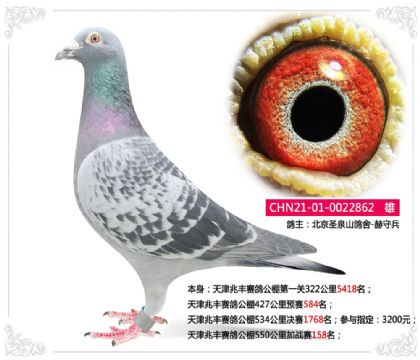 ���ر�--����׷����빫��550�����ս��158��  ��