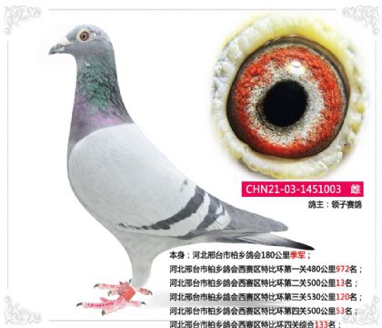 �ӱ���̨�а������������رȻ��Ĺ��ۺ�133��