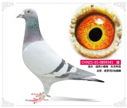 ���С���   ˽���ָ�341   ��		