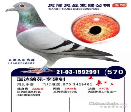 ����������빫����512�������570��  ��