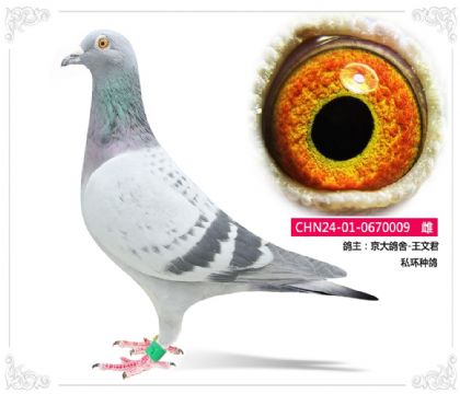 �������-���ľ�    ˽���ָ�	009   ��	