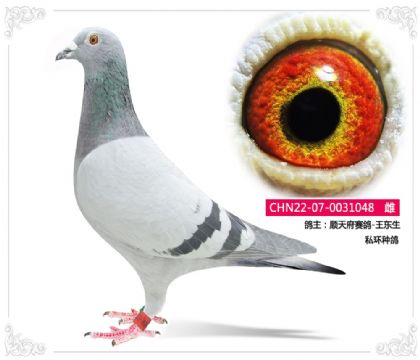 ˳�츮����-������    ˽���ָ�048   ��		