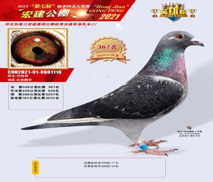 �ӱ��꽨���빫��500�������367��  ��	