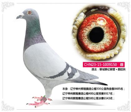 �������ݻԻ����빫��500�������6543��   ��	