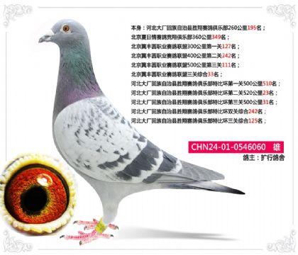 ��������Բְҵ�������������ۺ�33��   ��	