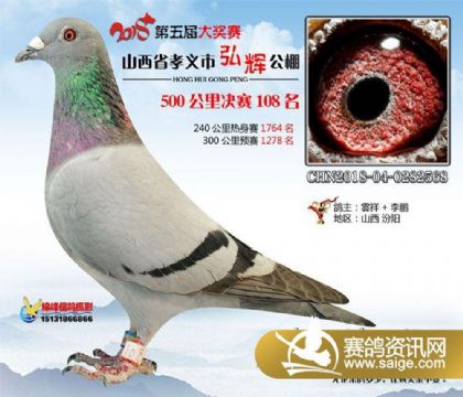 ɽ��ʡТ���к�Թ���500�������108��   ��