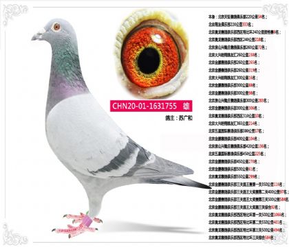 ս��---��λ�755   ��	