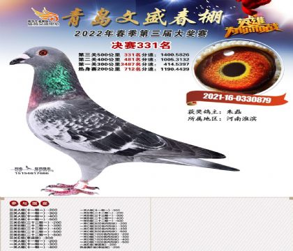 �ൺ��ʢ���봺��500�������331��   ��	