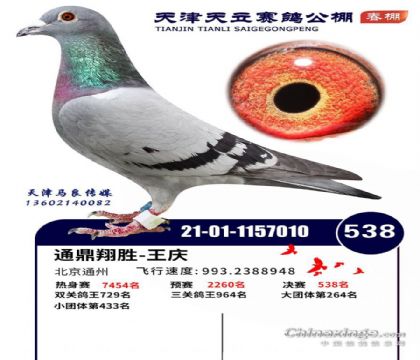 ����������빫����512�������538��   ��	