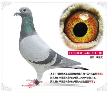 �ӱ���ˮ�����ظ���رȻ�˫���ۺϸ�������   ��	