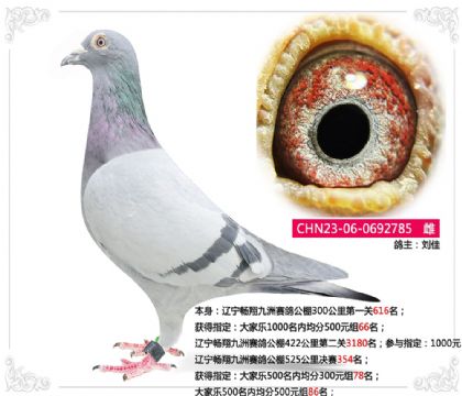 ��������������빫��525�������354��   ��	