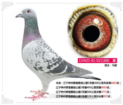 �������ݻԻ����빫��1����528�����վ��925��  ��