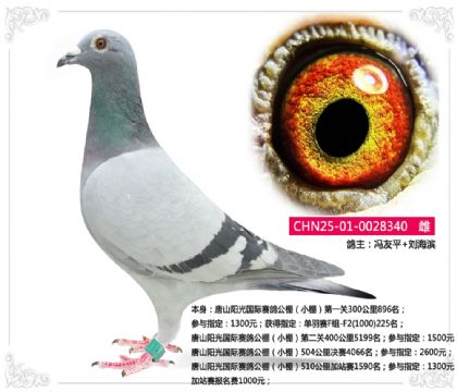 ��ɽ����������빫�С�510�����վ��1590����