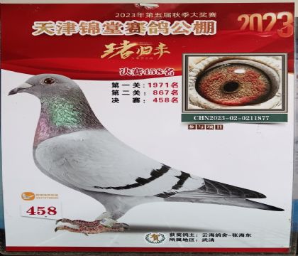 ���������빫��500�������458��   ��	