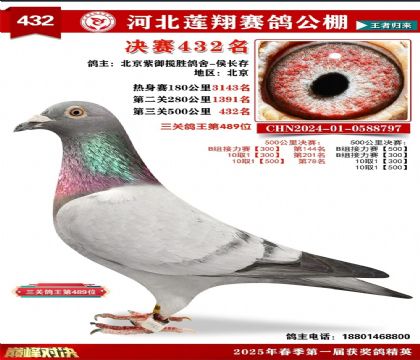 �ӱ��������빫��500�������432��   ��	