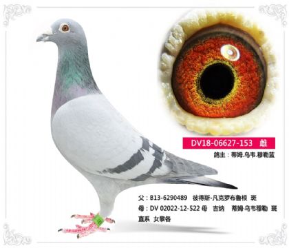 ��ķ.��Τ.������153   ��	