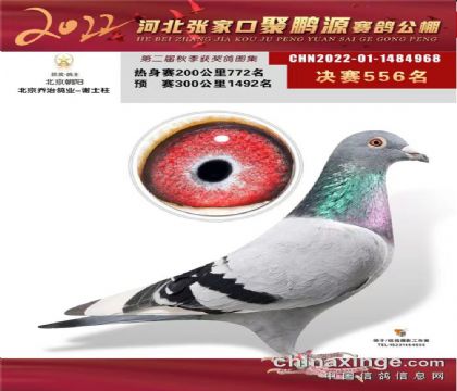 �żҿھ���Դ���빫��500�������556��   ��