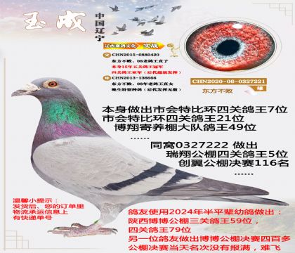 ��������08���ϸ����Ǿ����ף���ظ����ھ�ֱ��