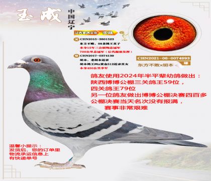 ��������08���ϸ����Ǿ�ֱ�����ھ�ֱ��