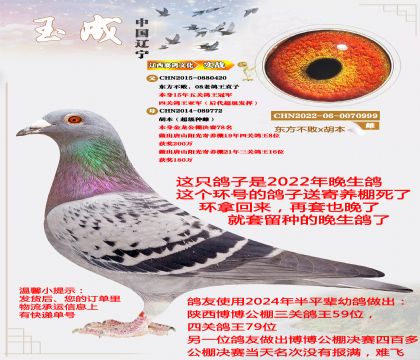 ��������08���ϸ����Ǿ�ֱ���ɽ������������8λ��ƽ��