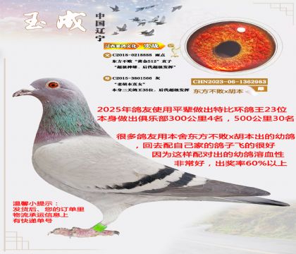 �������ܡ��ƽ�512��ֱ��8888����