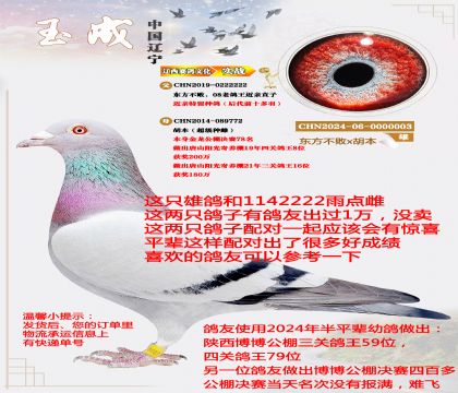 ��������08���ϸ����Ǿ�ֱ���ɽ������������8λ��ƽ��